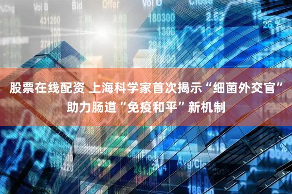 股票在线配资 上海科学家首次揭示“细菌外交官”助力肠道“免疫和平”新机制